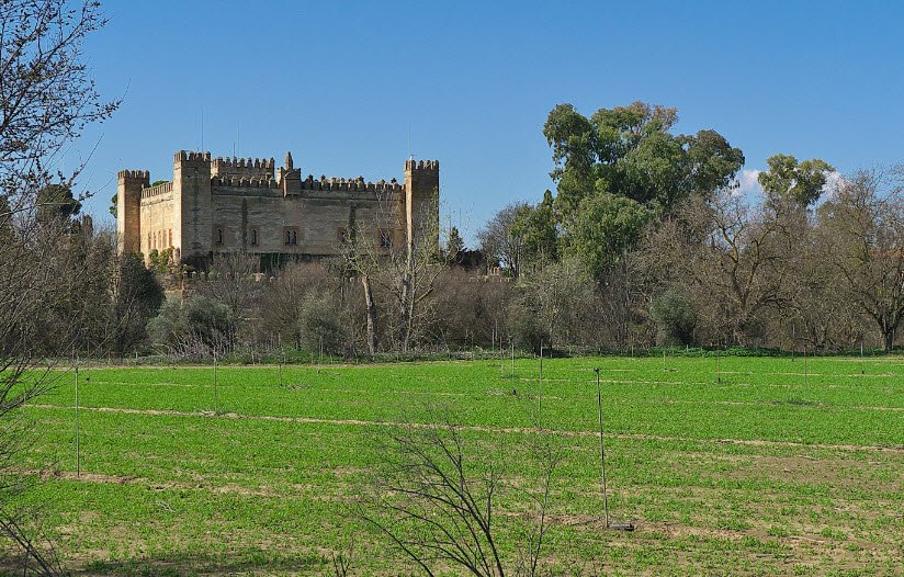 Malpica of Tagus's Castle, Spain